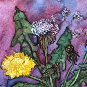“Dandelion” Watercolor Notecard